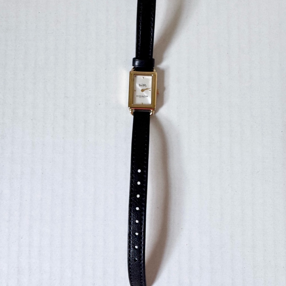Coach Liz Watch - Picture 3 of 11